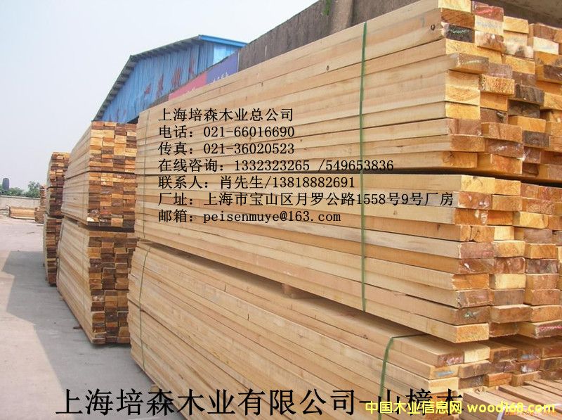 ɽ��ľ��2