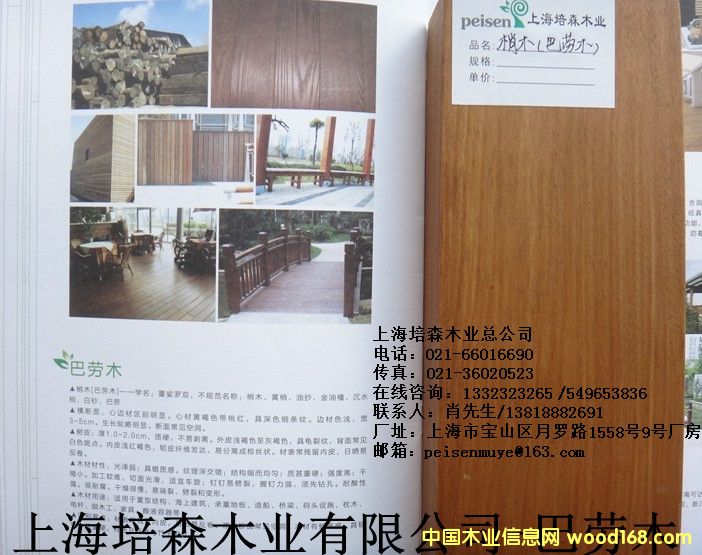 �̈́�ľ��1��Ԕ��(x��)��B