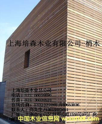 ��ľ��2��Ԕ��(x��)��B