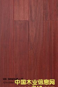 HS  SINDUR  1ƴ��Ԕ��(x��)��B