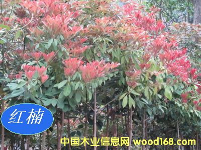 [��] ���ľN�磨�}����E���С�~�����骡��ٻ�����t骣�