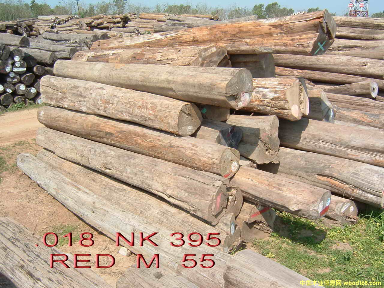 ������ľ��Ԕ����B