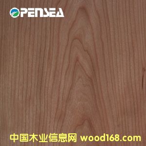 櫻桃的詳細(xì)介紹