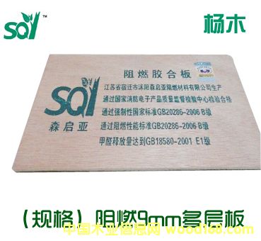 ��ȼ9����Ӱ壨��ľ����Ԕ����B