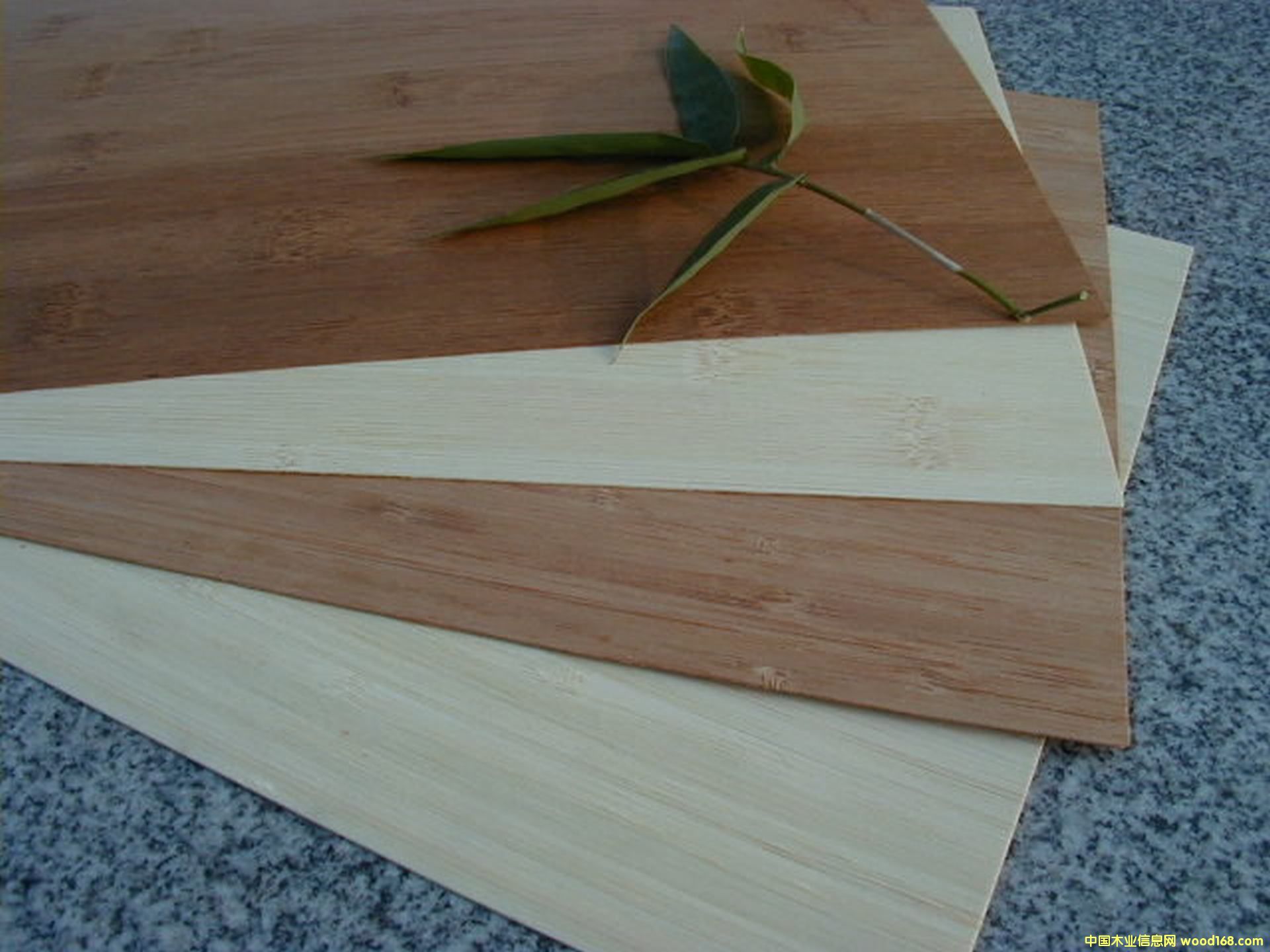 ��ɫ��Ƥ��Ԕ��(x��)��B