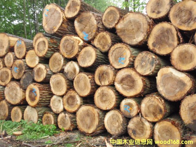 �W�ޗ�ľ��Ԕ����B