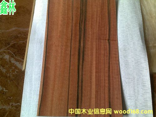 �t�O��ľƤ��Ԕ��(x��)��B