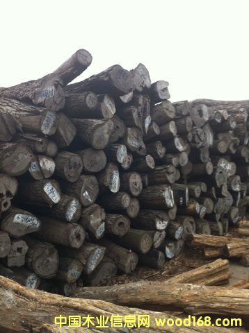 ��(y��u)�|(zh��)�tľ����С�~�t̴��Ԕ��(x��)��B