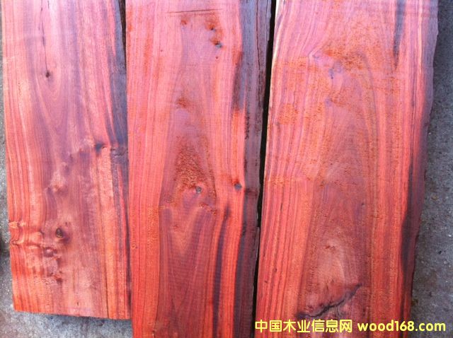 ������֦