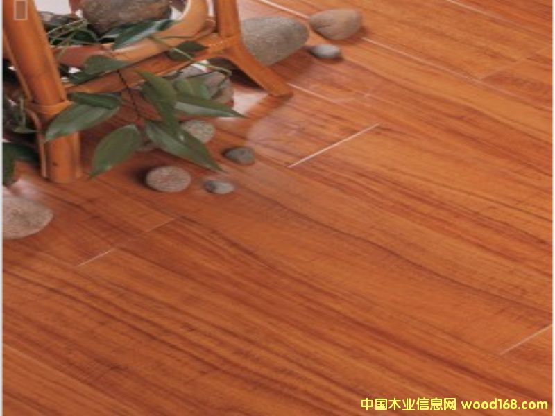 ��(qi��ng)����(f��)�ϵذ�