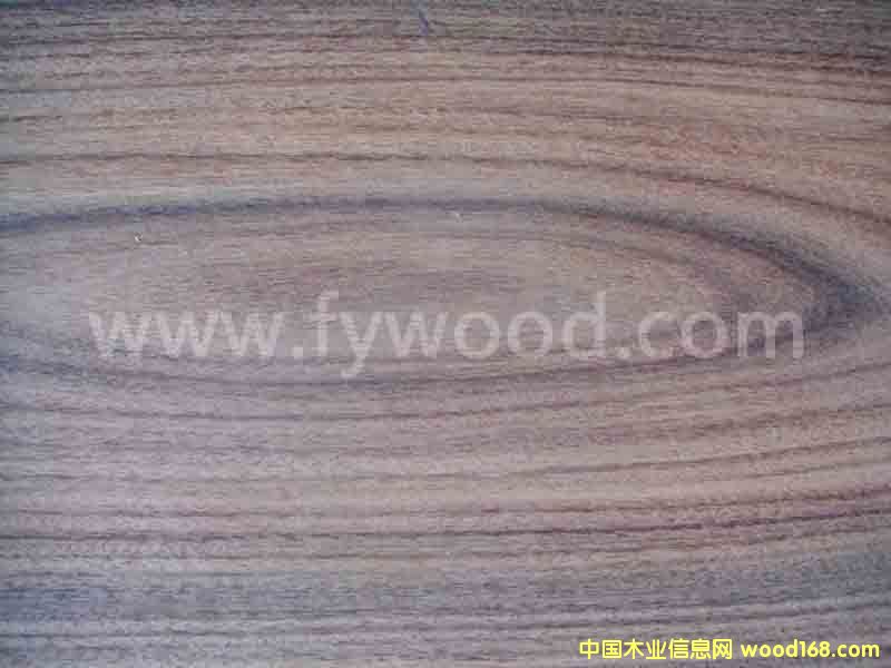 ��֦��Ԕ����B