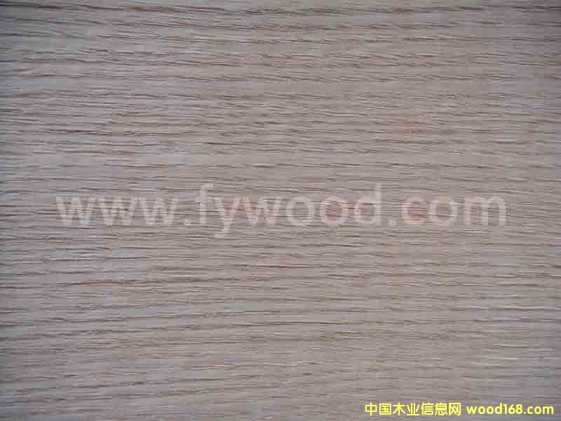 �t��ֱ�y��Ԕ����B