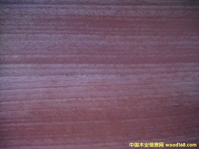 �t���ҵ�Ԕ����B