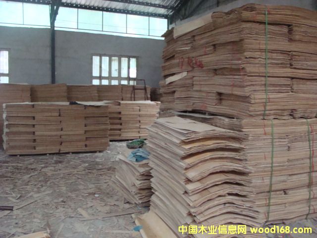 ��ľ�A��Ƥ��Ԕ��(x��)��B