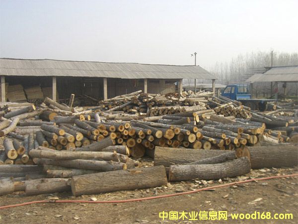 ��ľ��Ƥ��Ԕ����B