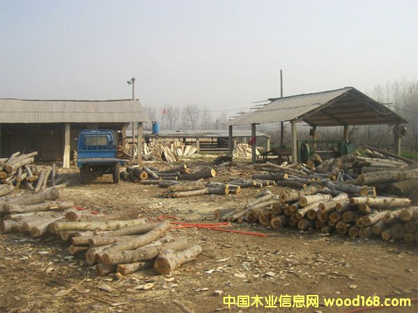 ��ľ��Ƥ��Ԕ����B