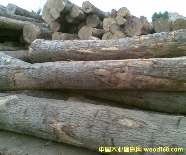 [��] ��Ϟ?z��i)���? title=