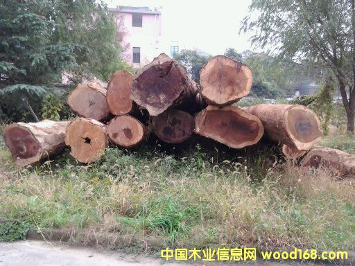 ��z�ľ��Ԕ��(x��)��B