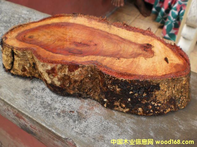 �{����(sh��) Narra ��Ԕ��(x��)��B