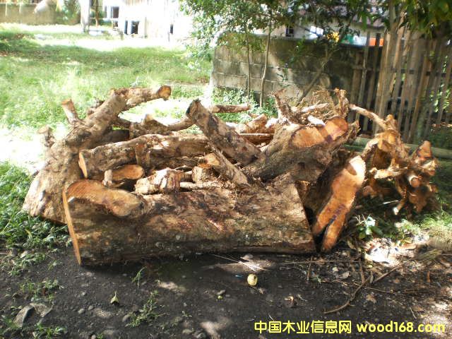 �{����(sh��) Narra ��Ԕ��(x��)��B