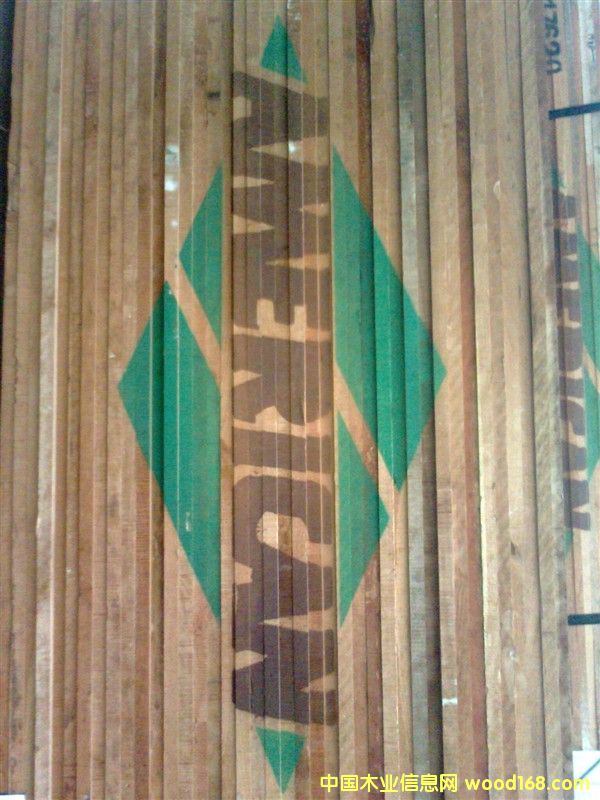 �����mݗ���ɵ�Ԕ����B