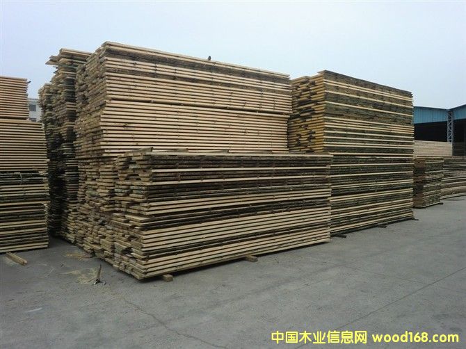 ����ľ��Ԕ����B