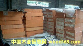 ��ľ��ë�����Ԕ����B