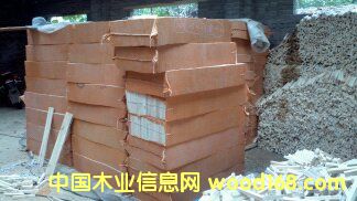 ��ľ��Ԕ����B