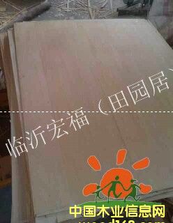 �ļ���@�ӵ�Ԕ��(x��)��B