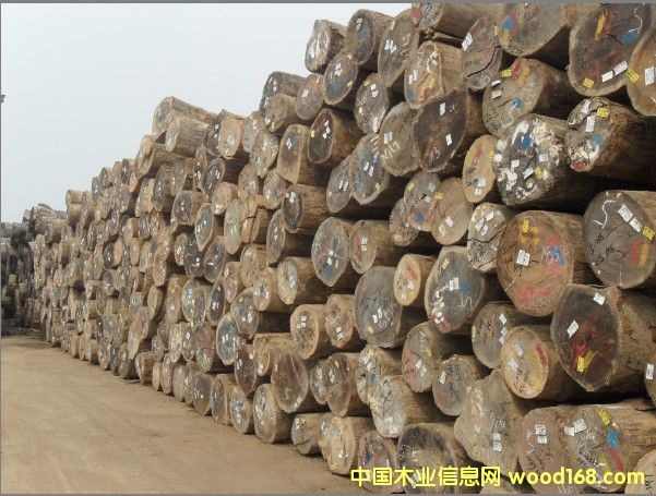 ����(y��ng) �R�������T�񣨿���˹��ԭľ��Ԕ����B