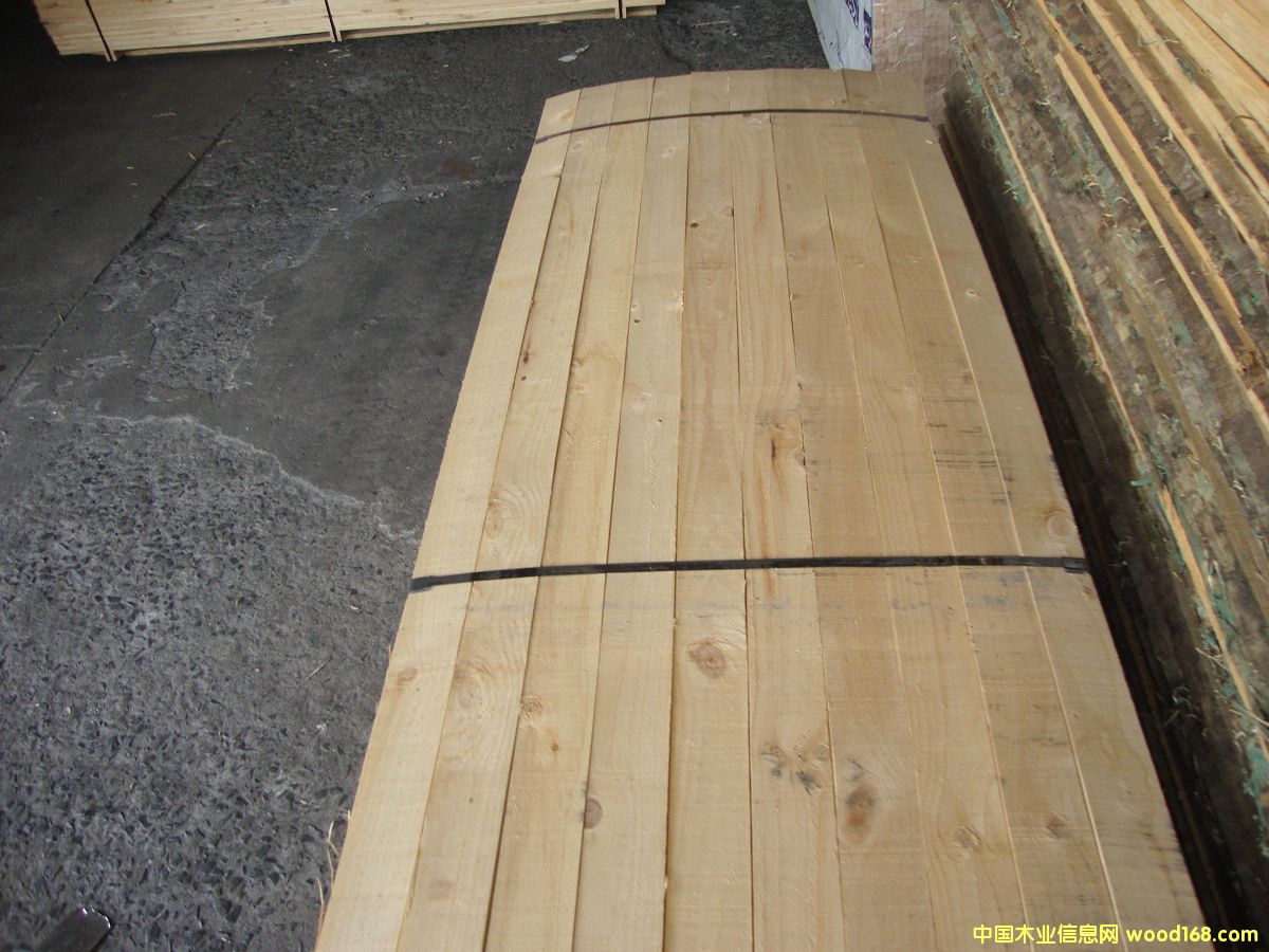 �M(j��n)��ݗ���� ���1.1cmë�� 