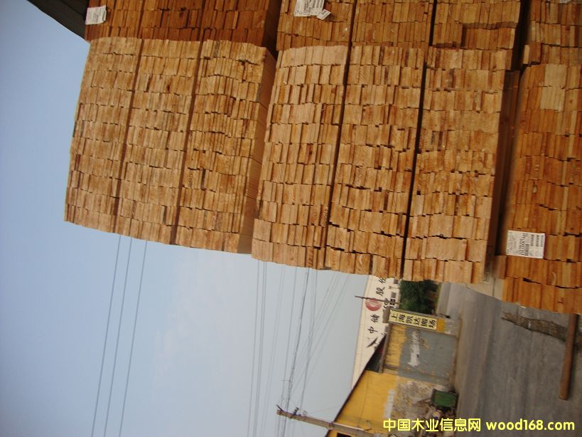 �M(j��n)��ݗ���� ���1.6cm��� ��Ԕ��(x��)��B