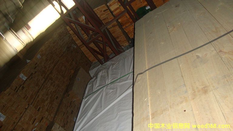 �M(j��n)��ݗ���� ���1.9cmë�� ��Ԕ��(x��)��B