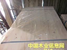 �����m�������M(j��n)��ݗ����