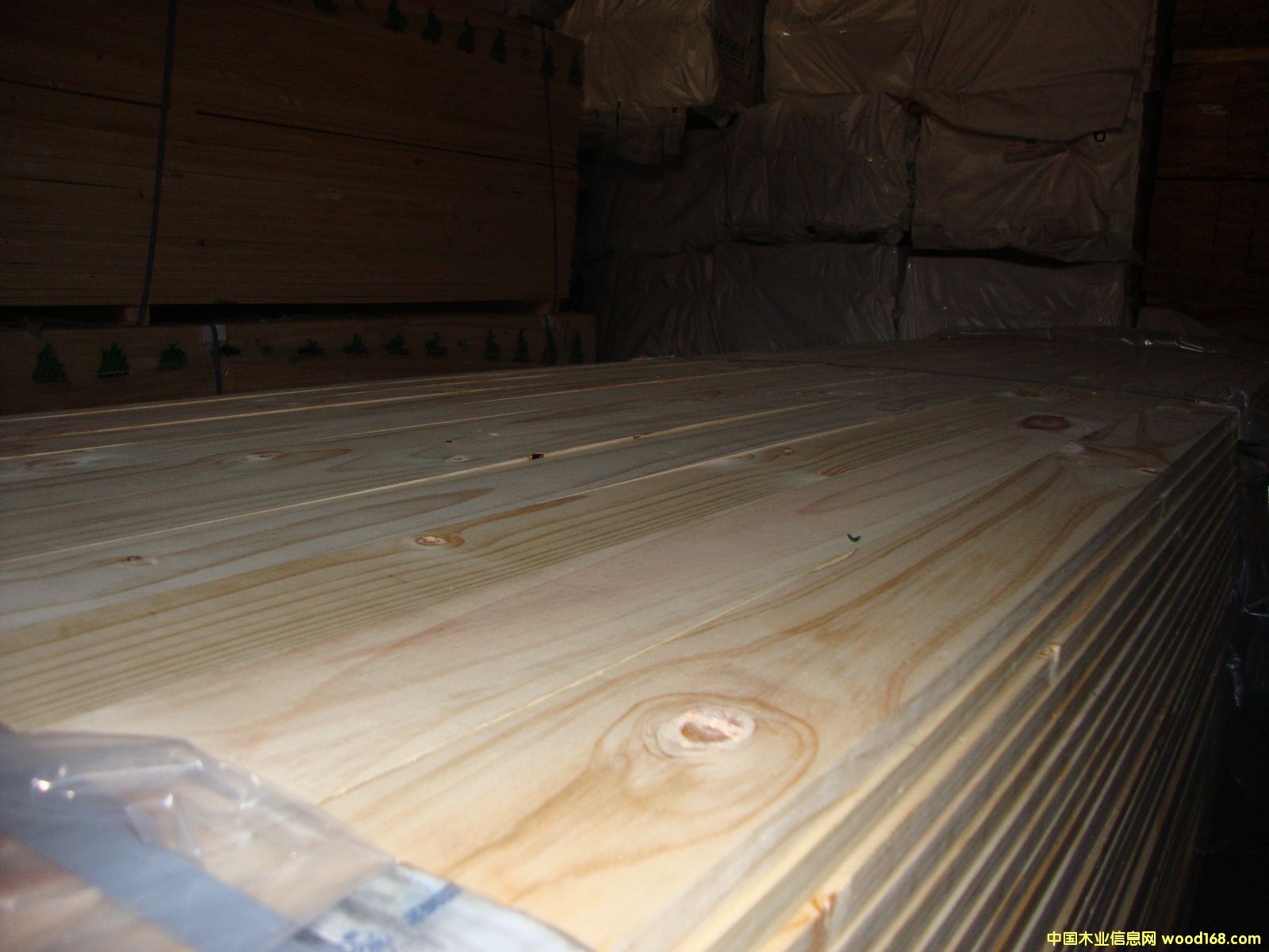 �M(j��n)��ݗ���� ���2.1cm��� ��Ԕ��(x��)��B