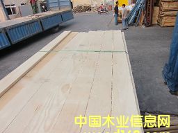 �M(j��n)��ݗ���� ���2.2cm�o(w��)��(ji��)ë�� ��Ԕ��(x��)��B