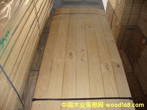 �M(j��n)��ݗ���� ���1.9cm�ٹ�� ��Ԕ��(x��)��B