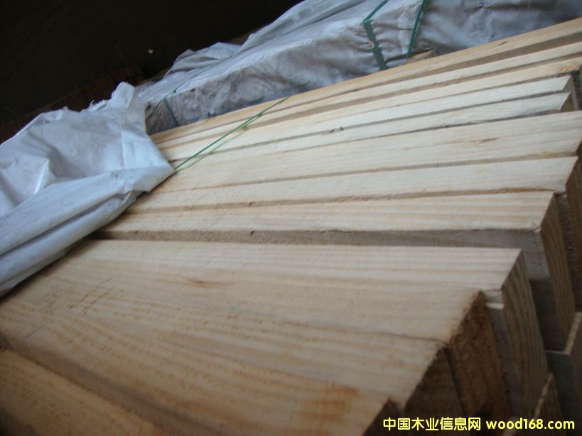 �M(j��n)��ݗ���� ���5.5cmë�� 