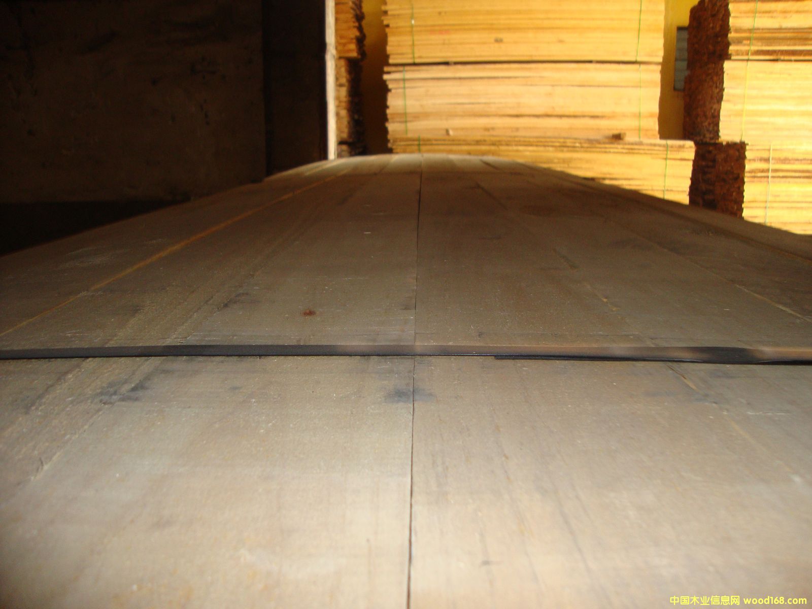 �M(j��n)��ݗ���� ���1.6cmë�� ��Ԕ��(x��)��B