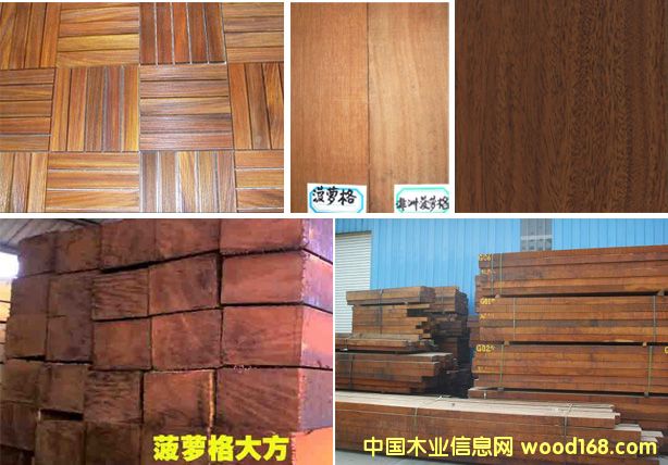 菠蘿格的詳細(xì)介紹