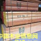 [��] ����(y��ng)����ľ���������ľ����������ľ����ľ��Ʒ