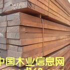 [��] ����(y��ng)���@�ַ���ľ������ľ��Ʒ�����}��ذ���