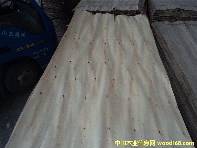 木皮的詳細介紹