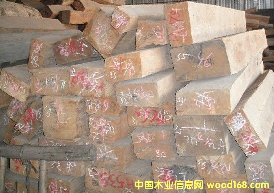 ��ľ����