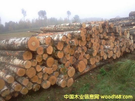 �������ľԭľ