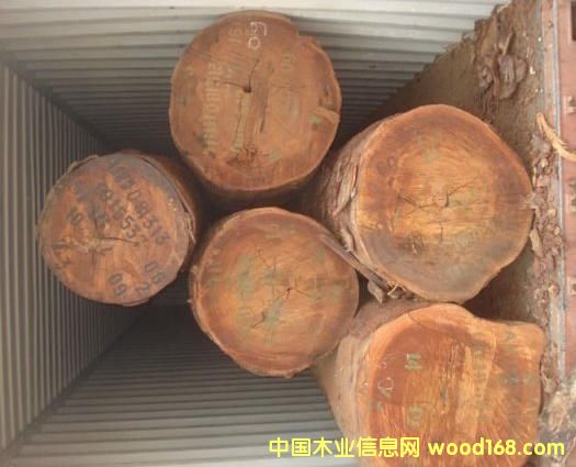 ������ľ��Ԕ����B