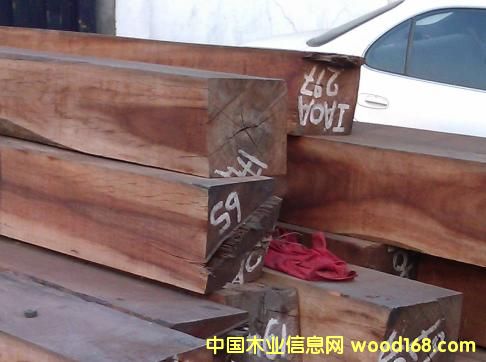 ���޸�ľ��Ԕ����B