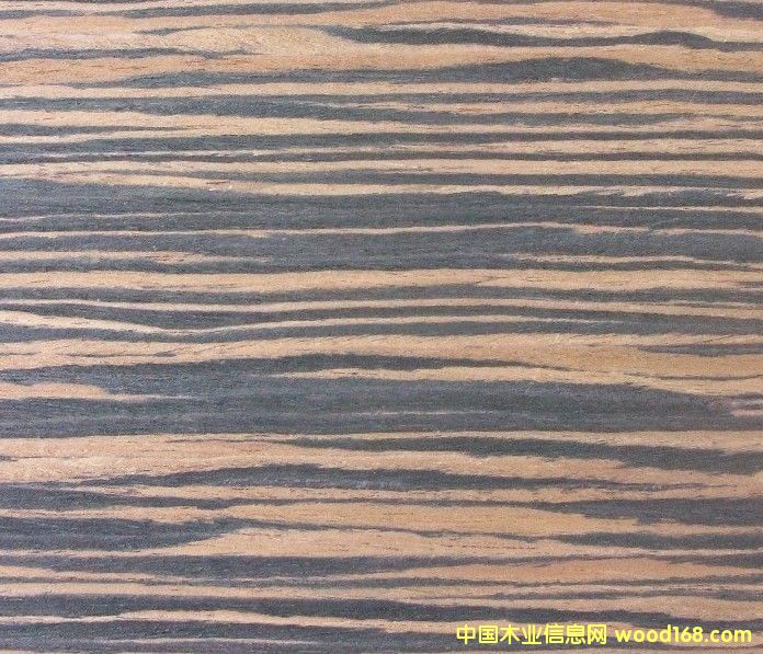 �Ƽ�ľƤ-��̴ľ���