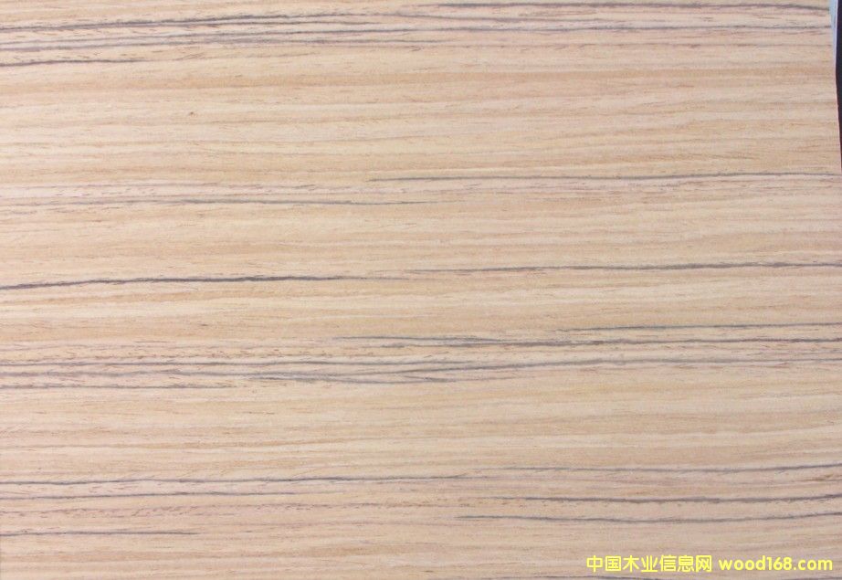 ��ľ�����Ԕ��(x��)��B