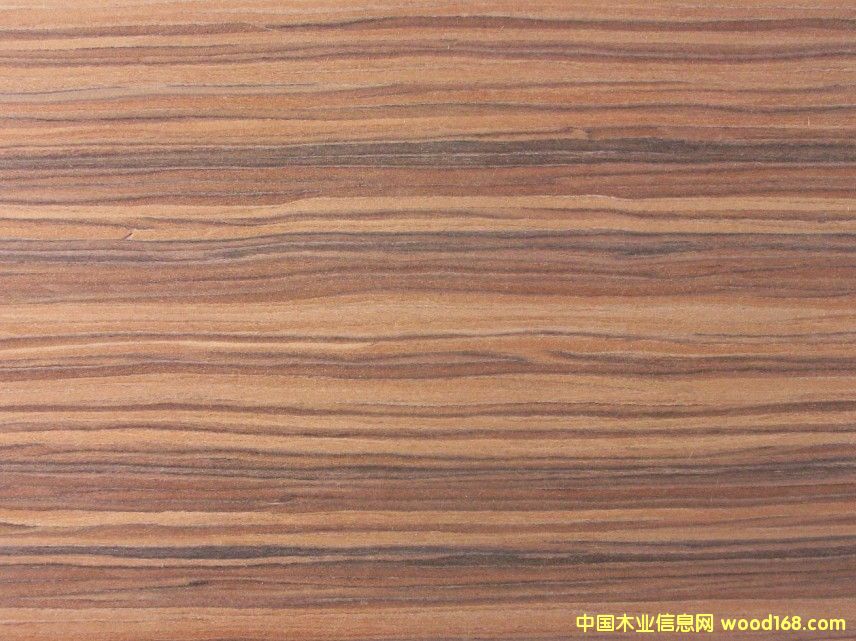 ������֦ľ�����Ԕ��(x��)��B